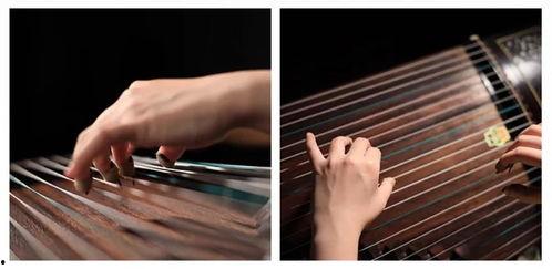 古筝深度爆料视频