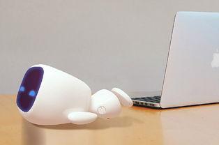 爆料机器人圈视频,最新视频爆料揭秘科技前沿动态